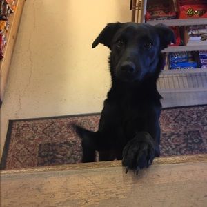 Meet your Posher, Jeremy